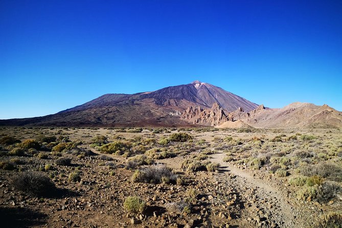 Teide National Park for smaller groups - El Pino Gordo and Tenerife’s old pine country