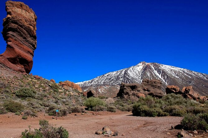 Teide National Park Full Experience with Professional Guide - Three hours of viewpoints across Teide National Park