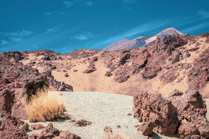 Teide National Park Full Experience with Professional Guide - Narices del Teide and the 1798 eruption