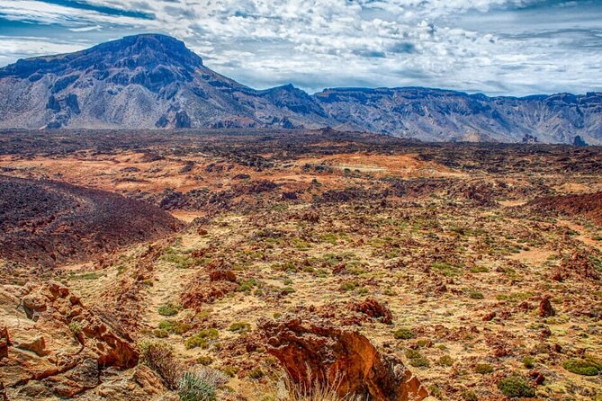 Teide National Park Full Experience with Professional Guide - Mirador de los Poleos and the return to pine forest