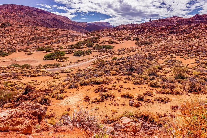 Teide National Park Half Day Tour with Hotel Pick up - Roques de Garcia and the volcanic basin