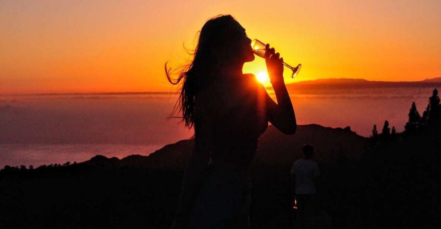 Teide National Park: Sunset & Stargazing Safari with Dinner - The coach ride from South Tenerife