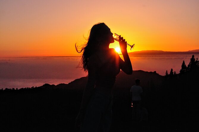 Teide National Park Sunset & Stargazing with Dinner (Star Safari) - The best parts of the evening