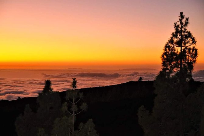 Teide National Park Sunset & Stargazing with Dinner (Star Safari) - Why the dark skies matter
