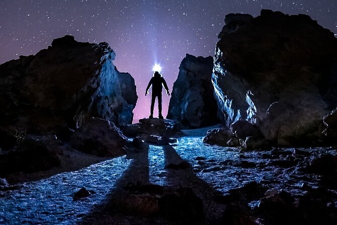 TEIDE NIGHT Astronomy Stargazing Bus Tour, Meal & Drinks included! - Dinner first, with a taste of the Canaries