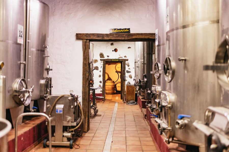 Teide Night Experience with Dinner and Stargazing - Vilaflor and Bodegas Reverón bring the local flavor
