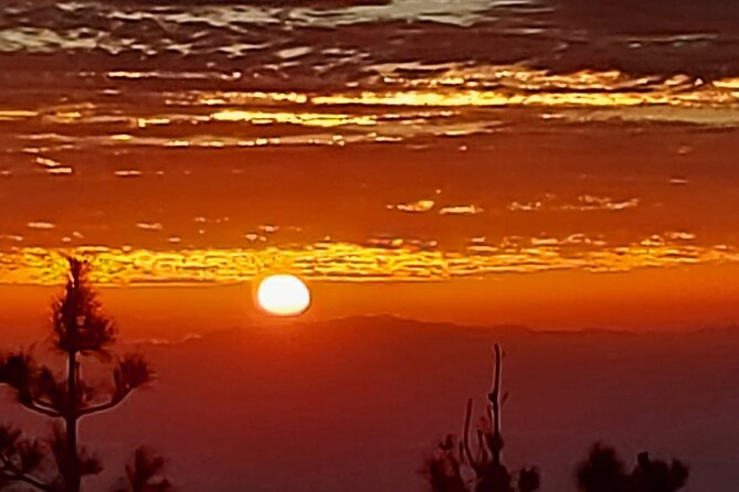 TEIDE NIGHT, Stargazing Bus Tour, Meal & Drinks included! - Sunset above the sea of clouds