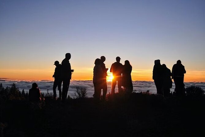 TEIDE NIGHT, Stargazing Bus Tour, Meal & Drinks included! - Who should book this Teide night tour?
