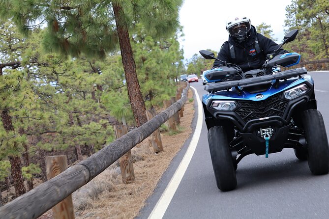 Teide Quad Volcanic Tour Teide National Park - Is $195.50 good value for up to two people?