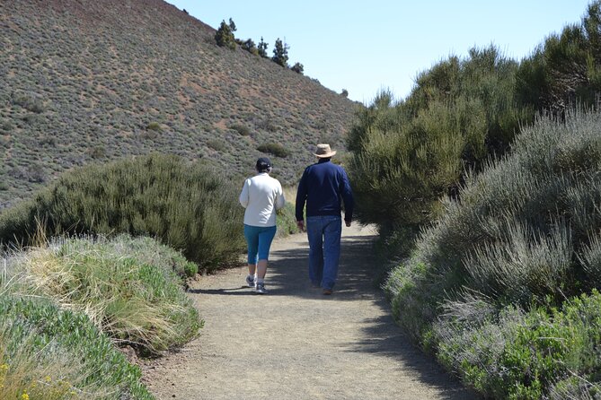 TEIDE: VIP tour - Narices del Teide and the black lava of 1798