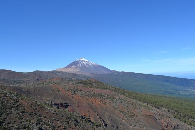 TEIDE: VIP tour - Maria’s guiding style and the private advantage