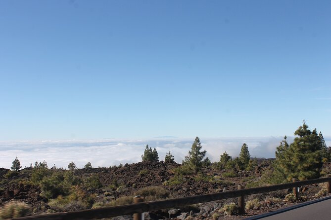 Teide Volcano National Park Quad Biking Tour - Pickup from southern Tenerife