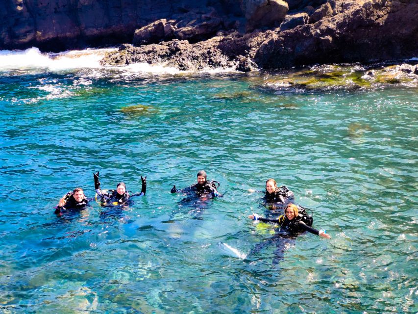 Tenerife: 2-Dive Private Scuba Discovery Course - Key points at a glance