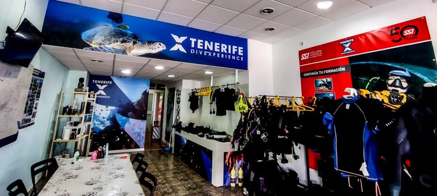 Tenerife: 2-Dive Private Scuba Discovery Course - What the five-hour Tenerife session is really like