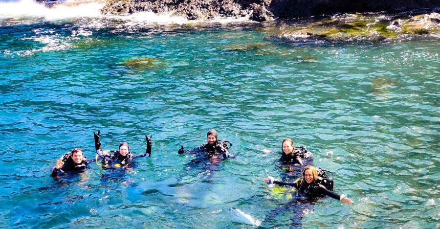 Tenerife: 2-Dive Private Scuba Discovery Course - Two underwater outings and Tenerife’s marine life