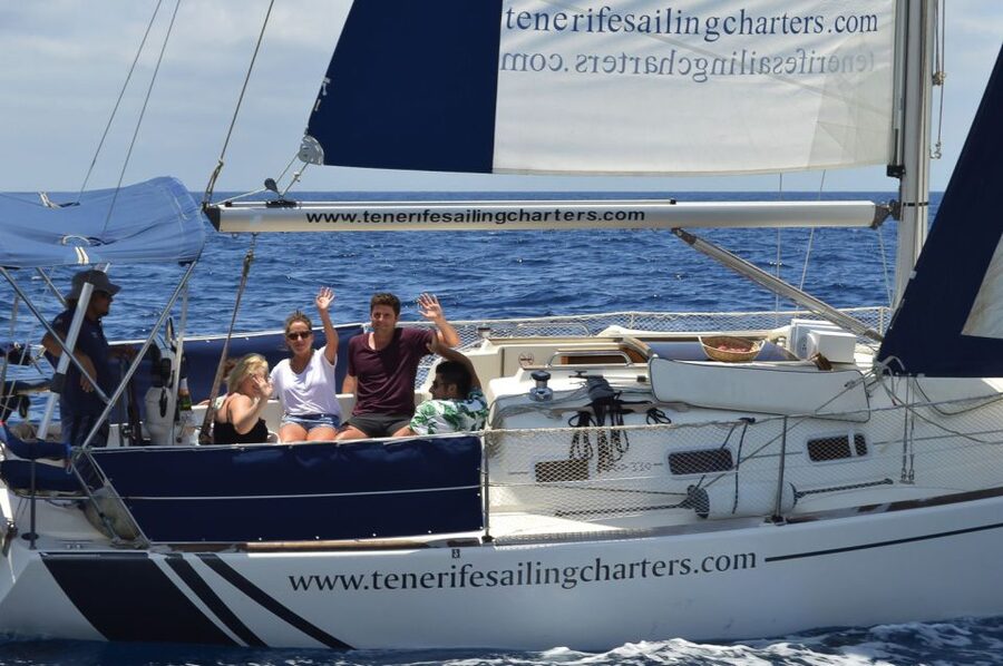 Tenerife: 3 &-6 Hour Private Whale & Dolphin Watching - A coastal cruise with room to slow down