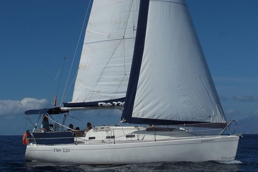 Tenerife: 3 &-6 Hour Private Whale & Dolphin Watching - What $1,101 means for a private group of nine