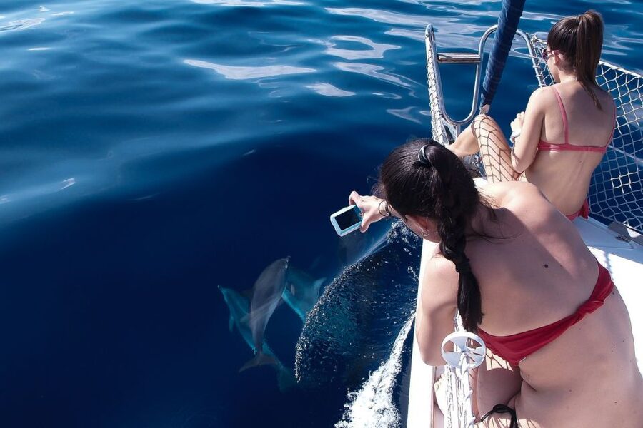 Tenerife: 3 &-6 Hour Private Whale & Dolphin Watching - Who will enjoy this private yacht trip most