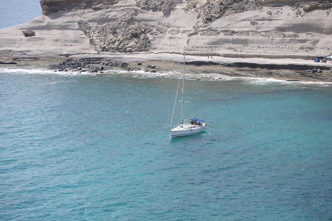 Tenerife 3-Hour Discover Whales and Dolphins - A small sailboat instead of a floating party