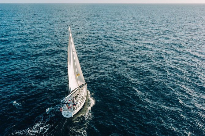 Tenerife 3-Hour Discover Whales and Dolphins - Who should book the Roulette?