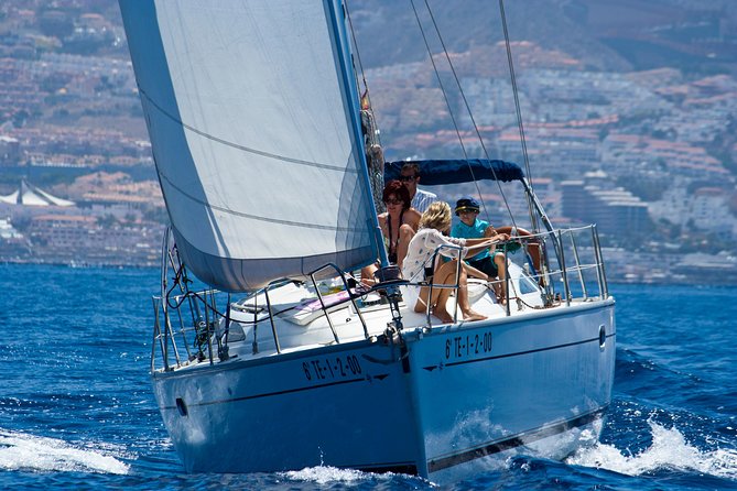 Tenerife 3-Hour Discover Whales and Dolphins - Leaving Puerto Colón for the cetacean zone