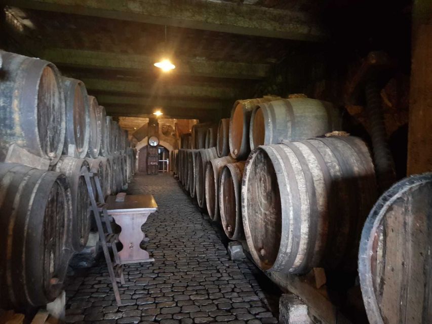 Tenerife: 4-Hour Gauchinche Food Tour - The guides make a practical difference