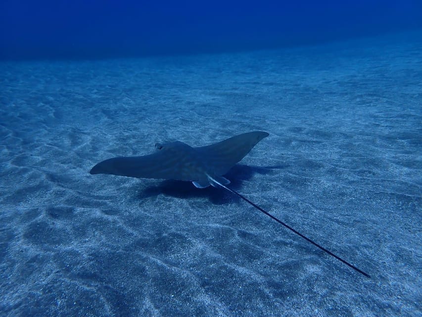 Tenerife: Abades Beach Beginner Diving Experience - What to pack and what to leave behind
