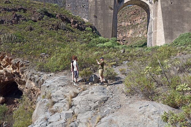 Tenerife Alternative Tour. Arico, Güímar, Fasnia- photos included - What the $378.71 price really buys
