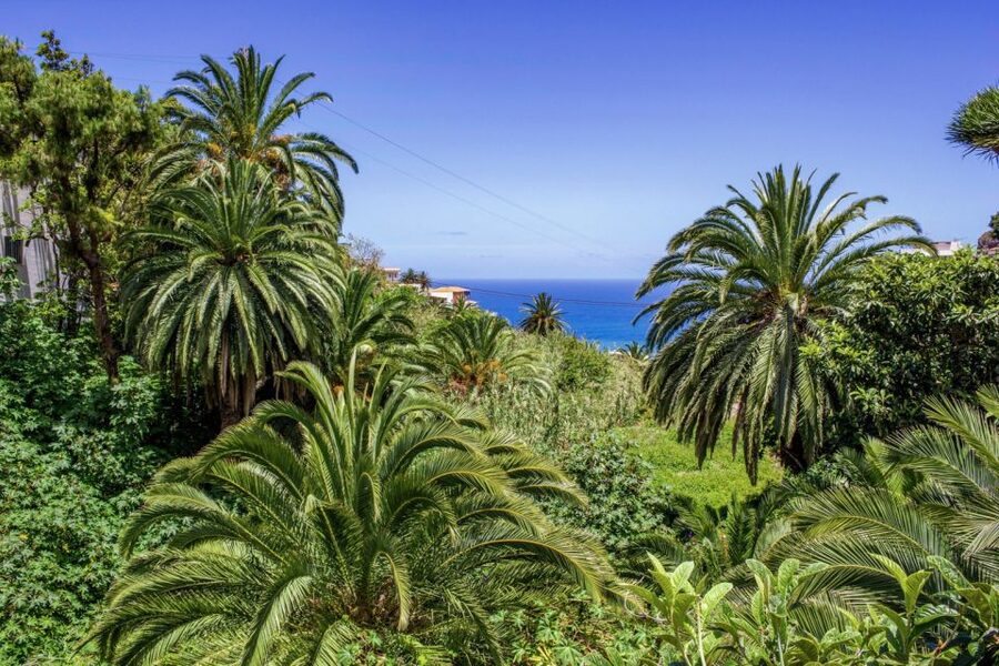 Tenerife: Anaga Rural Park Private Tour - What the Guide Adds