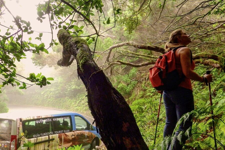 Tenerife: Anaga Rural Park Private Tour - The Electric Vehicle Makes a Difference