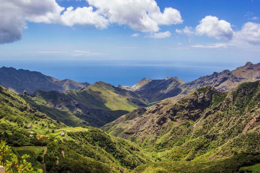 Tenerife: Anaga Rural Park Private Tour - A Short Walk in the Anaga Mountains