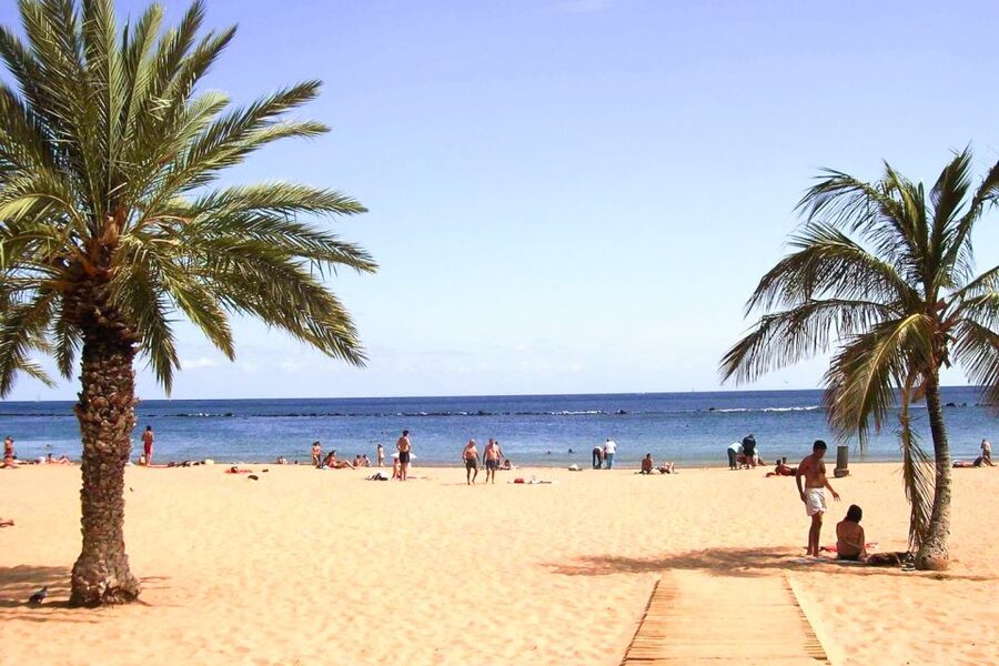 Tenerife: Anaga UNESCO VIP TOUR - Why Anaga works so well for a short Tenerife tour