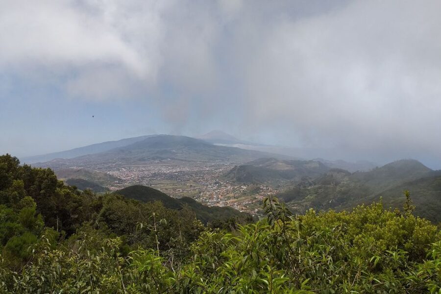 Tenerife: Anaga UNESCO VIP TOUR - What the guide adds to the day