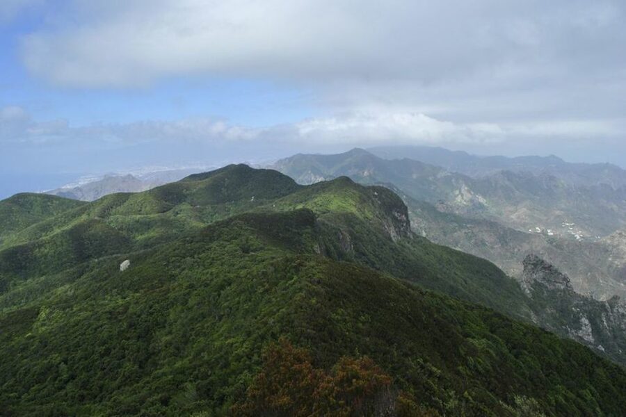 Tenerife: Anaga UNESCO VIP TOUR - Entering the Anaga laurel forest