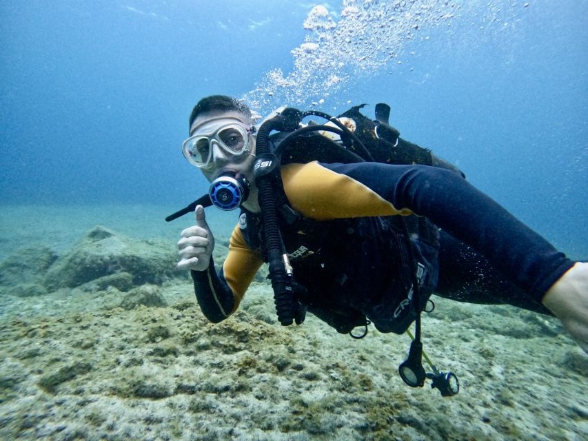 Tenerife: Beginner's Dive at a Spot with Turtle Sightings - Key points to know before booking