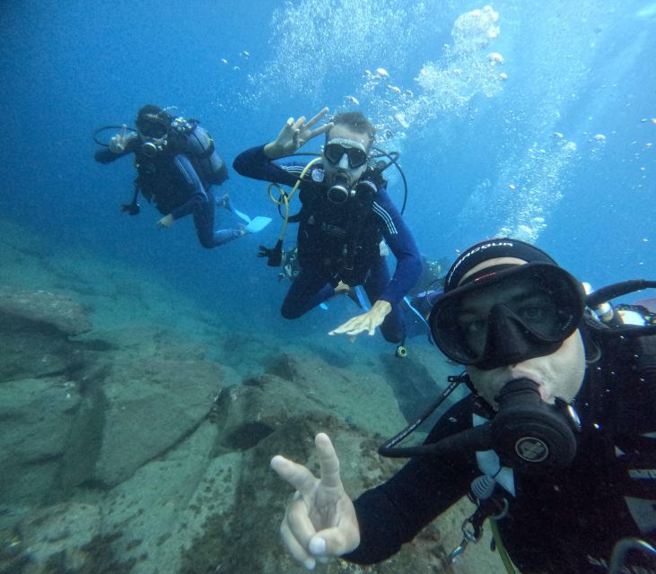 Tenerife: Beginner's Dive at a Spot with Turtle Sightings - A gentle first step beneath Tenerife