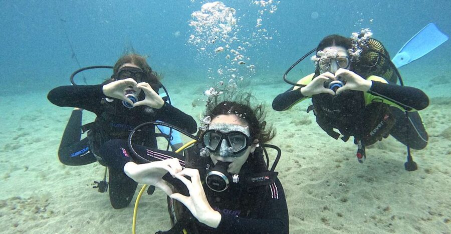 Tenerife: Beginner's Dive at a Spot with Turtle Sightings - A 15-minute ride along the southern coast