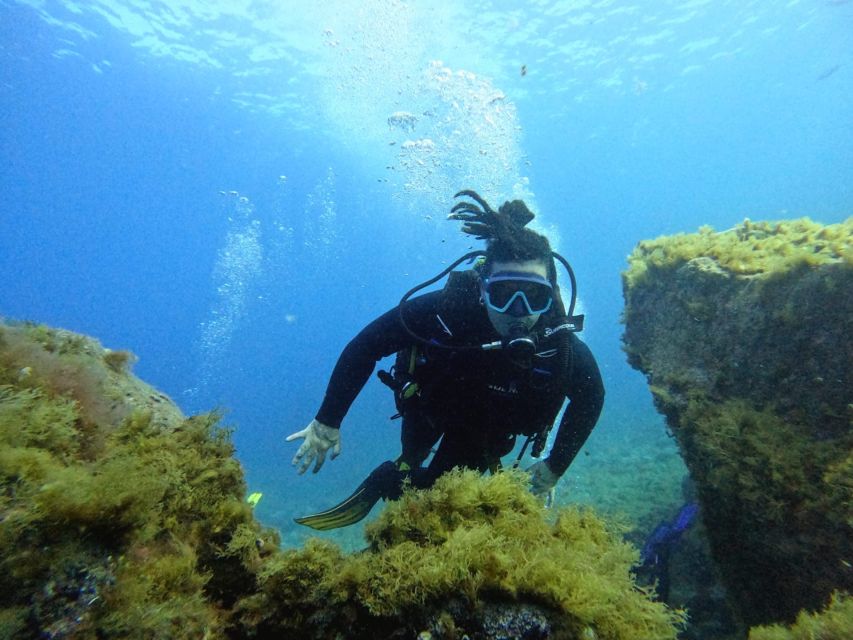 Tenerife: Beginner's Dive at a Spot with Turtle Sightings - Entering the water and getting comfortable
