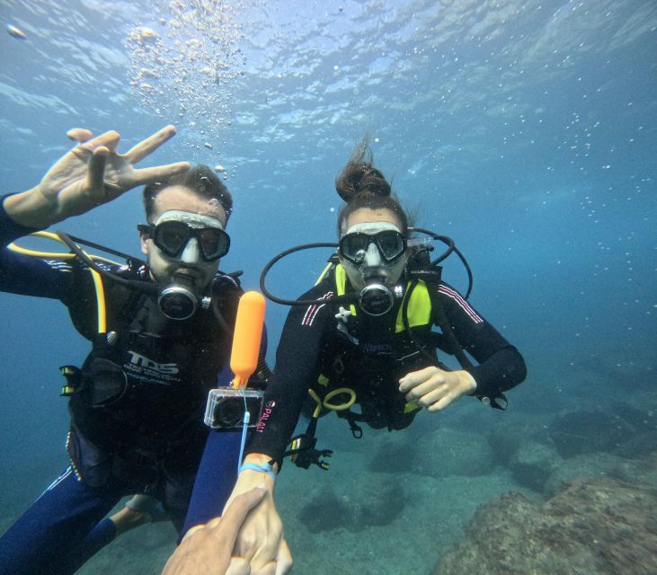 Tenerife: Beginner's Dive at a Spot with Turtle Sightings - What you can see below the surface