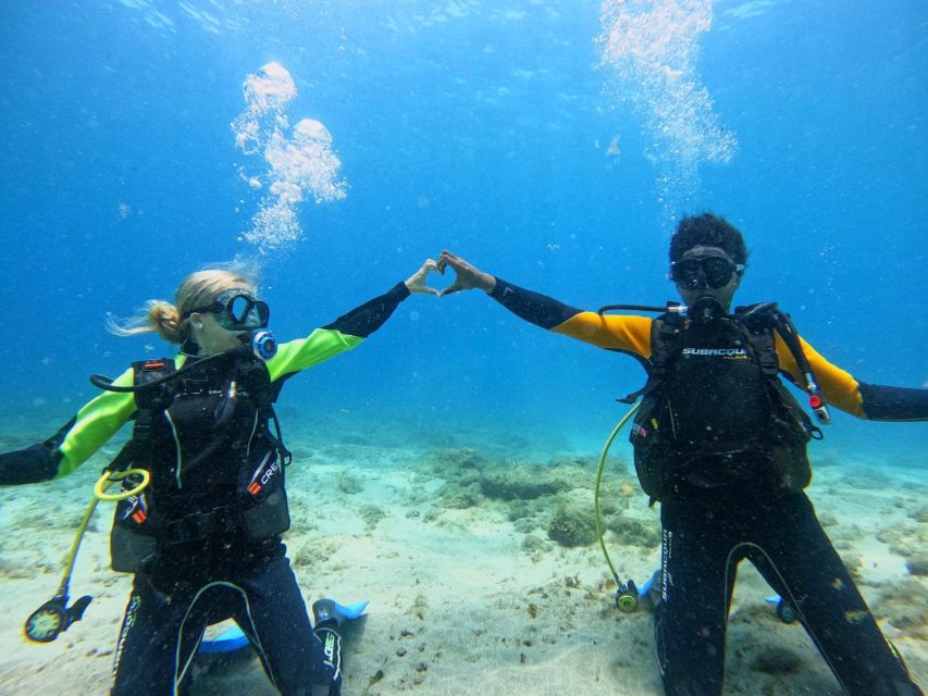 Tenerife: Beginner's Dive at a Spot with Turtle Sightings - The guide ratio is the strongest feature