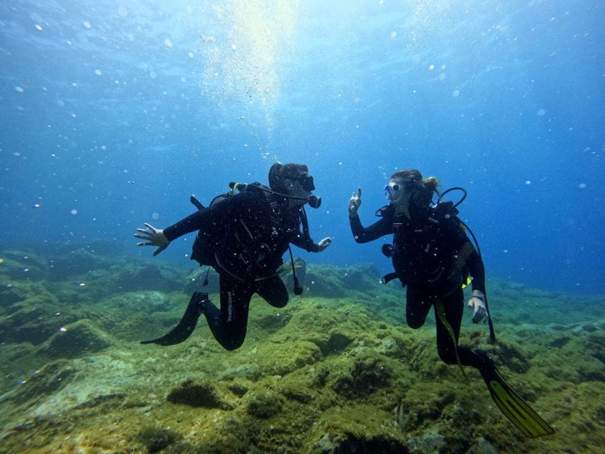 Tenerife: Beginner's Dive at a Spot with Turtle Sightings - Is $82 a fair price?