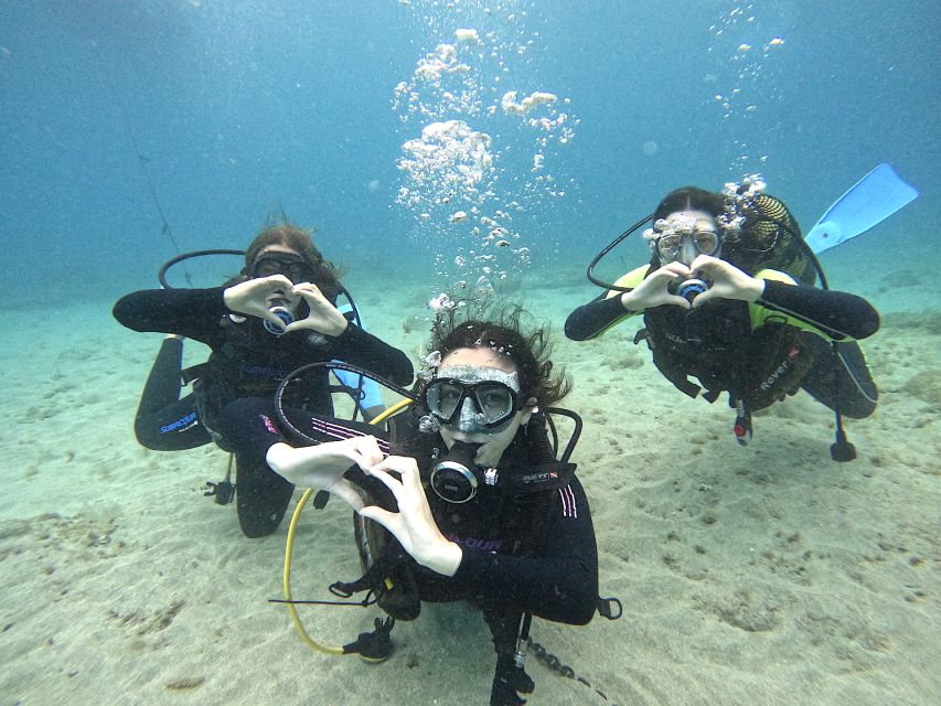 Tenerife: Beginner's Dive at a Spot with Turtle Sightings - The Puerto Colón briefing sets the tone