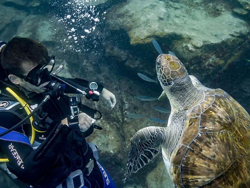 Tenerife: Beginner Scuba Diving Experience with Pickup - Starting at Aquarius in El Fraile