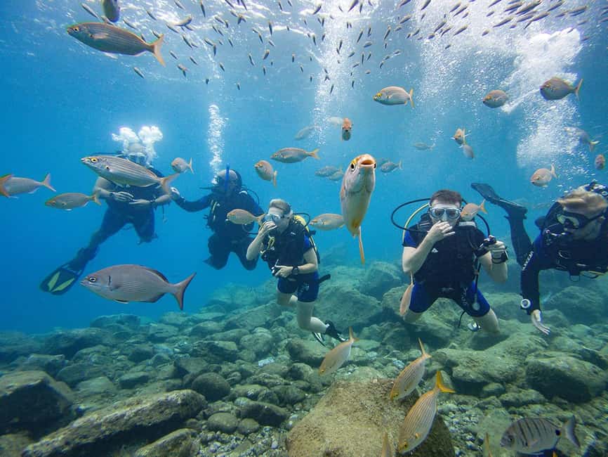 Tenerife: Beginner Scuba Diving Experience with Pickup - Getting from the center to Tenerife’s coastal water