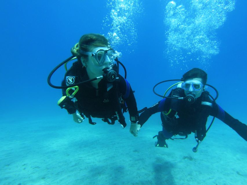 Tenerife: Beginner Scuba Diving Experience with Pickup - Meeting parrotfish, damselfish, and rays