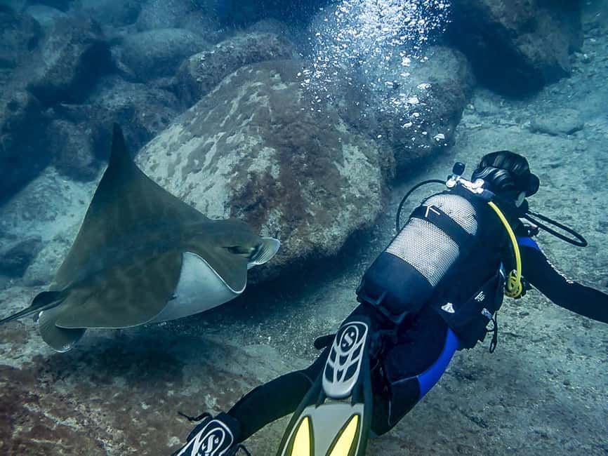 Tenerife: Beginner Scuba Diving Experience with Pickup - What $67 includes, and what it does not