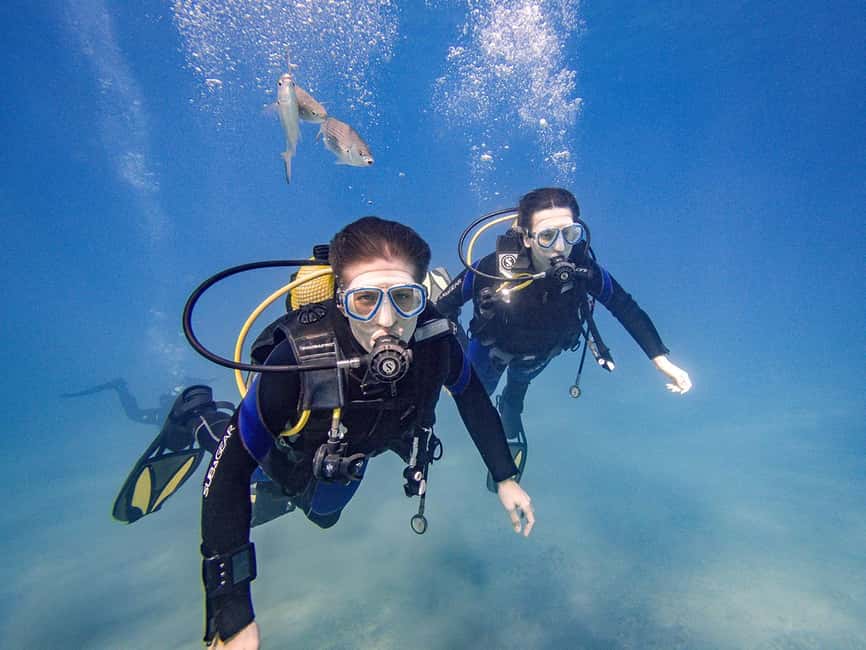 Tenerife: Beginner Scuba Diving Experience with Pickup - Who will feel most comfortable here