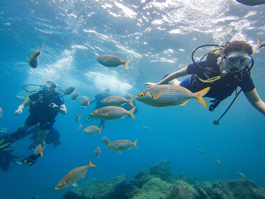 Tenerife: Beginner Scuba Diving Experience with Pickup - The 30-minute lesson that makes the difference