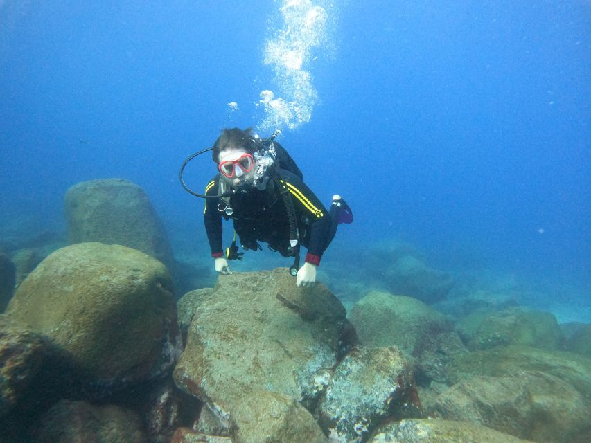 Tenerife: Beginners Scuba Dive Experience in Turtle Area - Key points to know before booking