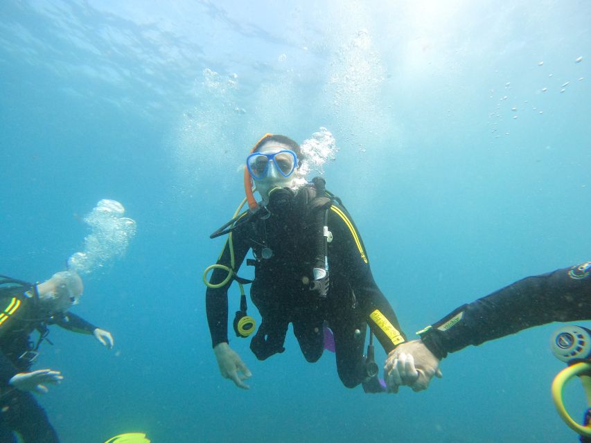 Tenerife: Beginners Scuba Dive Experience in Turtle Area - Practical tips for a smoother morning or afternoon